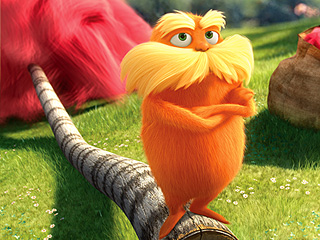 The Lorax Kicked Me In The Head!
